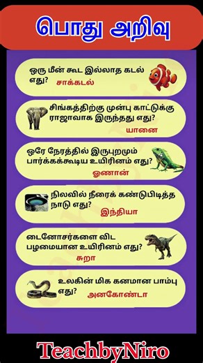 Gk question #tnpscstudy #generalknowledge #ssc #generalknowledgequestions #upsc #bank #shortsfeed