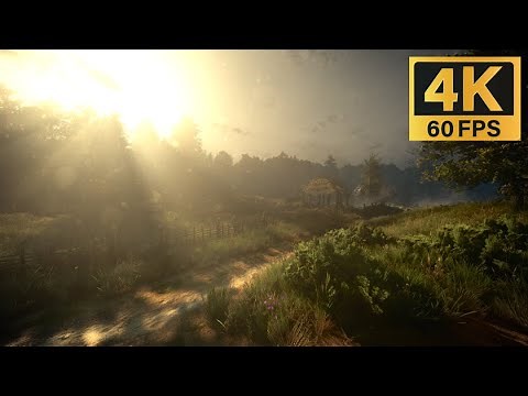The Most Beautiful Thing Ever... - The Witcher 3 Next Gen (4.0) With A First Person Mod!