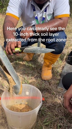 Soil sample collection