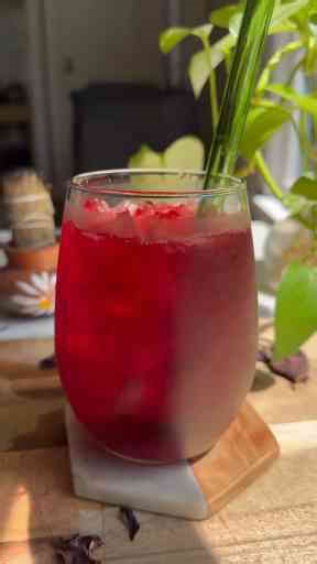 Refreshing Agua de Jamaica Recipe for a Healthy Drink