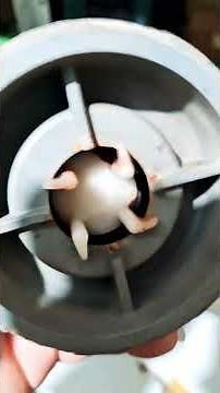 Bomba Leão quebrou o bombeador