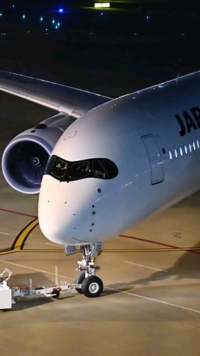 11K views · 1K reactions |  This Japan Airlines' Airbus A350 is...