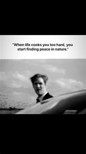 czar on Instagram: "A funded trader is an individual who operates a trading account using capital supplied by a proprietary trading firm (prop firm), rather than their own personal money. This model offers significant benefits, primarily access to substantial trading capital and the ability to earn a share of the profits without risking personal savings. To become a funded trader, a candidate must first pass a rigorous evaluation process, often called a "trading challenge". This involves trading