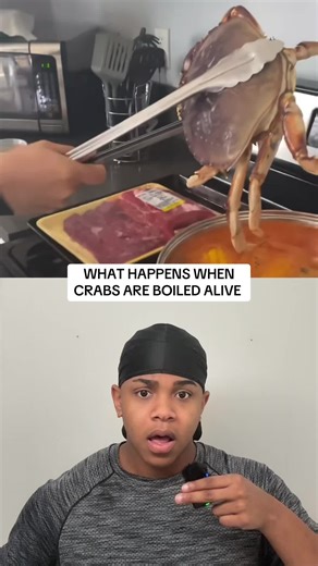 Crabs being boiled alive theory explained #foryou #trending #crabs #scream