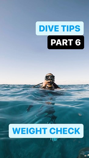 One of the first questions most divemasters will ask when preparing your gear is “how much weight would you like?” 🤔🤔Believe it or not, most divers do not actually know how much weight they typically dive with! The amount of weight needed for a dive relies on many factors: Salinity, exposure wear, and body composition. As there are so many factors that affect weighting we can only do our best to guestimate what the correct amount will be. So, before your next dive make sure to perform a weight