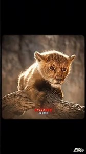 Best father & son Duo 💔😔 | Loved the edit? follow for more !!