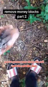 Remove Money Blocks Part 2 #AncientDiscoveries #DidYouKnow #awakening #awakenthegeniuswithinyou | Agyei Emmanuel