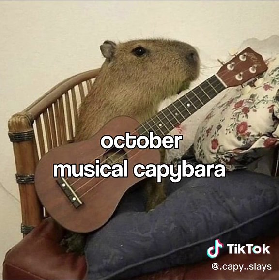 part 2 💅🦫 #capybara #capybaratiktok #capyslay #slay #fyp #foryou #foryoupage #blowthisup #viral