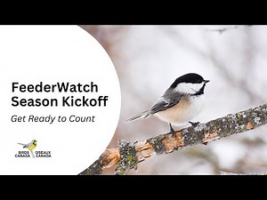 Project FeederWatch Season Kickoff Webinar