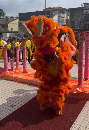 25th January 2026 2026 Pre Chinese New Year Acrobatic Lion Dance - Bangsar Shopping Centre - Khuan Loke 馬來西亞群樂體育會 #liondance #acrobaticliondance #cny2026 #khuanloke #bsc