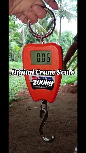 Digital Crane Scale: Accurate Weighing Up to 440lb
