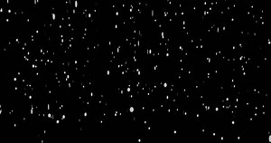 Snow flakes overlay, black background. Winter, heavy snow effect, snowing.