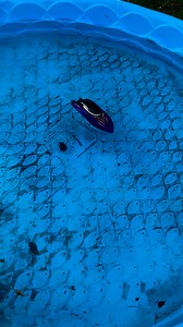 The Rugrats 😊 having fun. Noah wanted to do a video of his underwater submarine. Which recently in school they all did craft submarine’s. And so he got a new toy submarine and there new speed boat. We will have to go race the speed boats at the river soon. Fun, and entertaining toys for sure! A great idea for family fun days! Both items from Amazon. #coolgadgets #amazonfinds #submarineunderwater #racingspeedboat #funtoys #funforfamily #toys #rugrats #kidfun #giftideasforkids #giftideas #neattoy