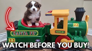 Watch Honest Review of the Peg Perego Santa Fe Train on Amazon Live