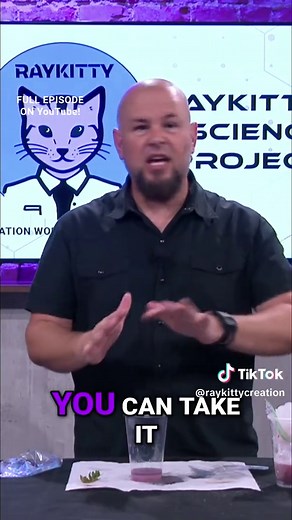 Strawberry DNA Extraction: Science Made Simple