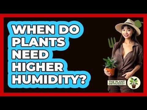 When Do Plants Need Higher Humidity?