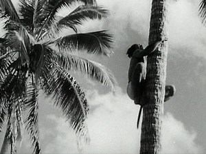 Quotes | Moana Roa | Short Film | NZ On Screen