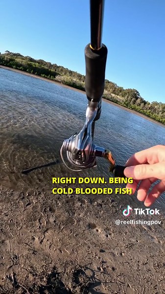 Winter Fishing Tips: Catch More Fish in Cold Weather