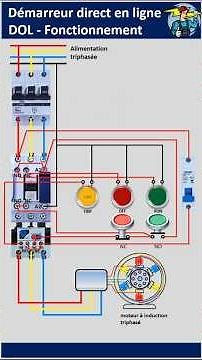 DOL Starter: Wiring a Three-Phase Motor
