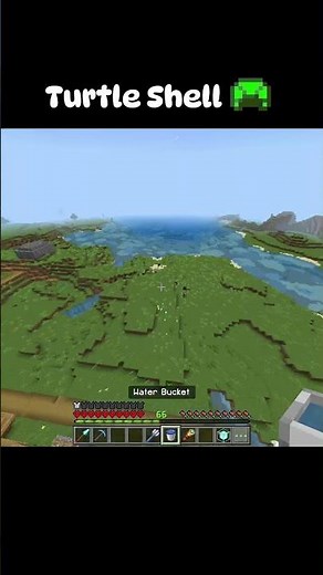 Minecraft Turtle Shell Power ☠️