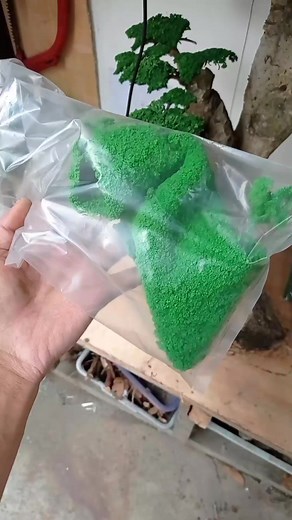 Moss sintetis buat daun bonsai tinggal pasang #moss #bonsai #reels #viral #afeyjuag | Afey Juag