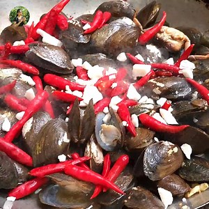 Adventure, Catching Shells and Cooking for survival food" Hope you injoy and like my videos. Thank you #cookingwithpich #shells #foodie #food #recipe #deliciousfood #eating #jungle #yummyfood | Natural Food in Jungle