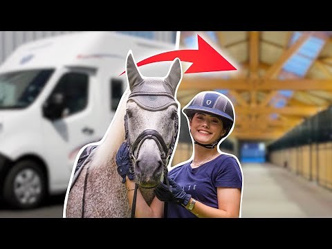 MOVING OUT WITH MY HORSE 🚚🐴