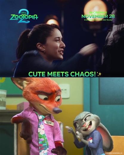 Walt Disney Studios on Reels