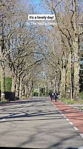 It's a lpvely sunny day! #netherlands #travel #RoadDriving #driving | In The Netherlands