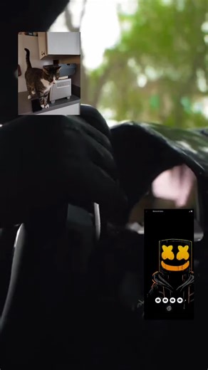 Luke Angus (@luke.angus56)’s videos with som original - ℕ𝕒𝕘𝕫𝕚𝕟