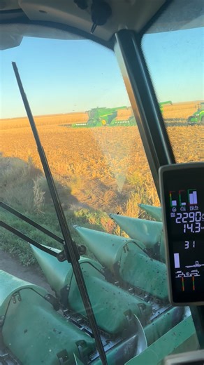 71K views · 1.2K reactions | Sorry Joey just had to be that way Joey Leitner #fyp #funny | Farmer Fran | Facebook