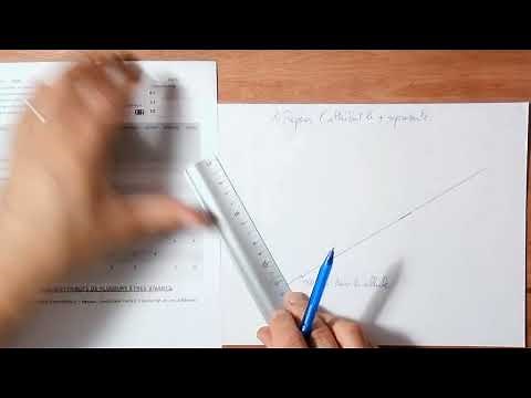 METHOD how to draw a phylogenetic tree