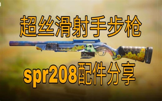 【codm】超丝滑射手步枪spr208配件分享