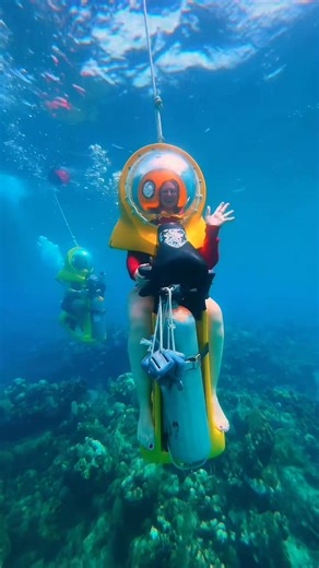 🛵 Quieres vivir 🐠🐠🐟🐡🦈🐚🦞 esta experiencia de buceo vivila con BOSS Underwater Adventure Roatan #roatan #guanaja #Utila #calloscochinos #IslasDeLaBahia | Islas de la Bahía Honduras - Bay island Honduras