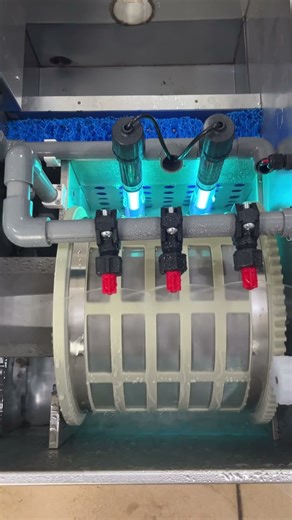 drum filter, help to solve your fish pond problems#koi #koifishpond