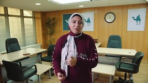 Data Visualization ما هي