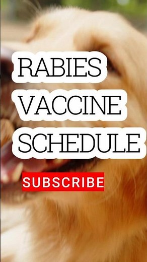 Rabies Vaccine Schedule Explained in 30 Seconds | Life-Saving Rabies Treatment Guide #shortsforgoal