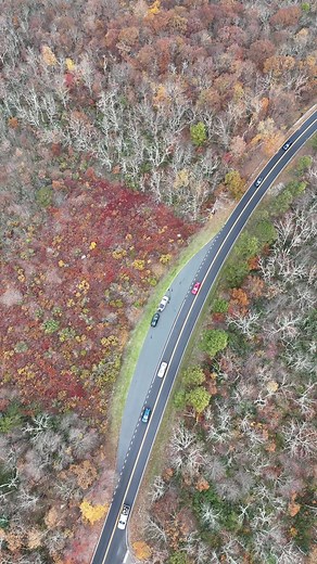 📍Shenandoah NP 100 Beautiful Miles drive and Overlooks ⛰️🍂🚗🥾🦅💯#mountain #hiking #hike #virginia #outdoors #roadtrips #shenandoah