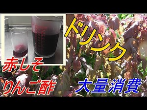「赤紫蘇ジュース」りんご酢を使って おいしい簡単レシピ