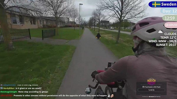 sarahbridgewater - Twitch