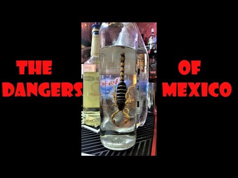 Vida and I explore the real dangers of Mexico. #motorcycle #travel