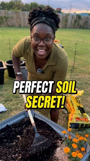 The secret to perfect soil in your raised bed #gardenhacks #shorts