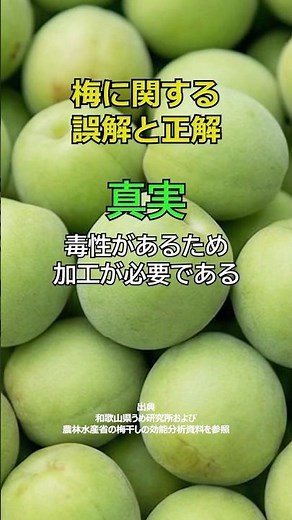 梅の真実：生で食べられるのか #健康 #雑学