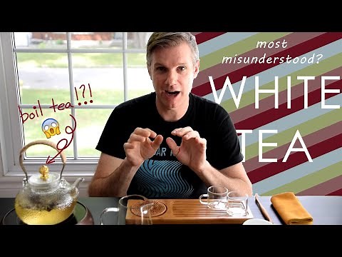 What is white tea? | Demystifying White Tea | How to boil/brew aged white tea? | ZhenTea
