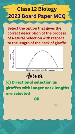 Class 12 Biology PYQ MCQ #7 CBSE 2023 Exam