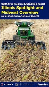 Combines Are Rolling! Illinois and Midwest Crop Progress and Condition Update | Sept 13, 2026