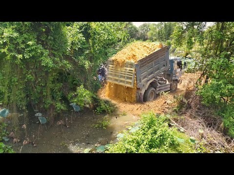 So Nicely Job Started New Project!Dump!Truck Fill Soil flood wild,By Skillful Dozer D21 Pushing Soil