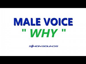 Male voice "WHY" - Sound Effect (SFX)