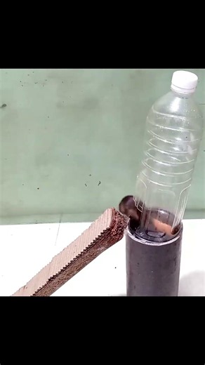 Water Plastic Bottle Mouse/Rat trap #mousetrap #rattrap