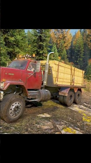 NEW GMC Brigadier 8000 Transporting the wood in SnowRunner season 16